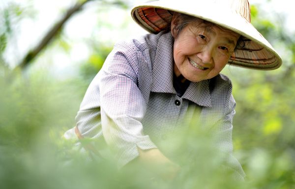 港媒关注辽宁出台政策鼓励老人创业：激发新的社会活力