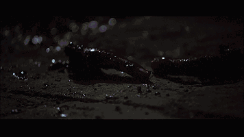 电影图解 | 欧美惊悚片《新尸骨无存》,约x需谨慎!