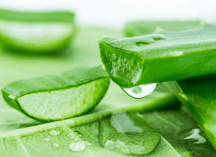 螨虫是皮肤毁灭者, 脸上涌现3迹象, 真心劝告