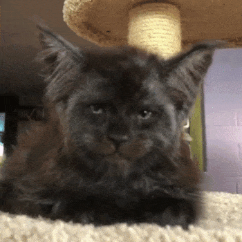 ʷʹ