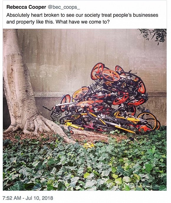 推特截图
