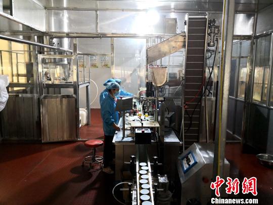枸杞花蜜深加工链现场。 李佩珊 摄 枸杞花蜜深加工链现场。 李佩珊 摄