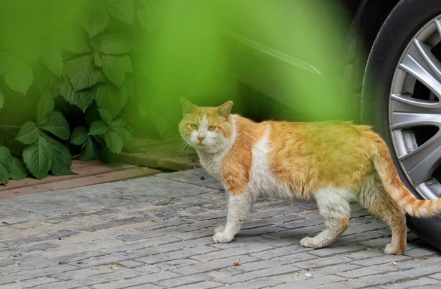 光影砖砌的美学 EOS M6陪你邂逅那抹红