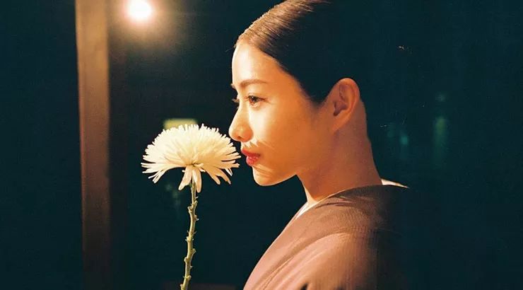 美人计 | 《高岭之花》刚上线,就又成了石原里美