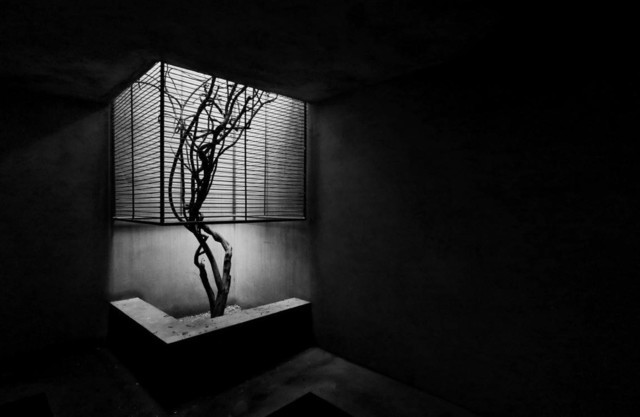 光影砖砌的美学 EOS M6陪你邂逅那抹红