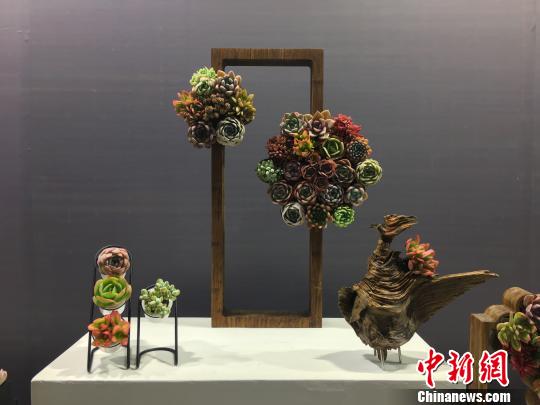 第十九届中国昆明国际花卉展开幕 多国鲜花昆明“争艳”