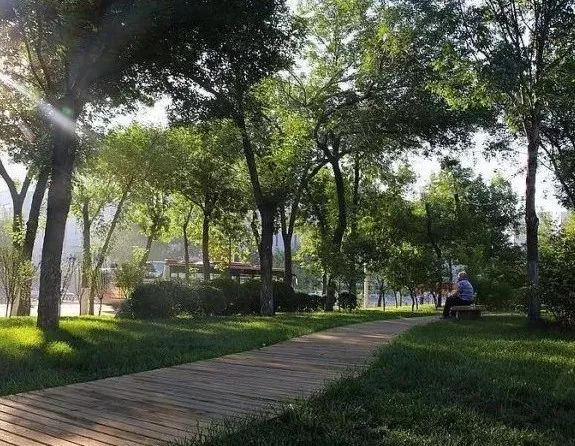 【融媒逛登封】登封的美可以用5个英文词语概