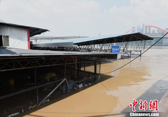 长江重庆段迎来洪峰过境 菜园坝竹木市场被淹没