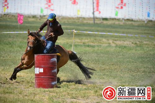 马术绕桶-巴音达来摄（资料图