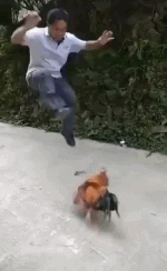 搞笑gif:简直丧心病狂!这个感觉有点糟糕