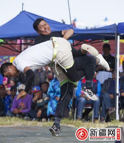 5QQ图片208