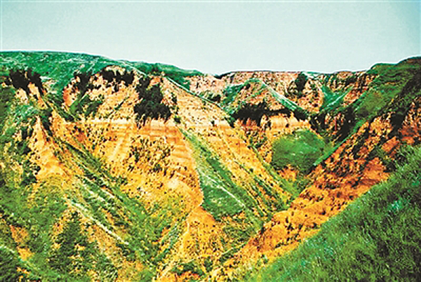 黄土高原212万年前已现人迹