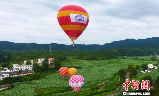热气球飞越江西广昌“世界最大莲池”