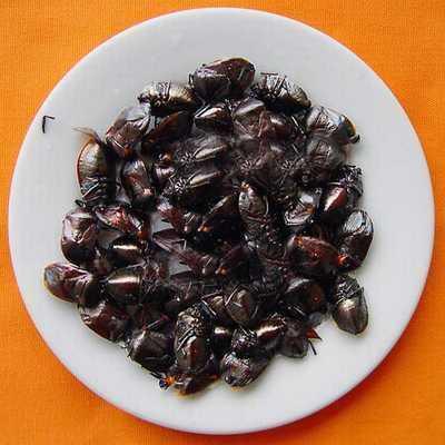 臭无比,却被叫做九香虫,不但是种好药材,还是好