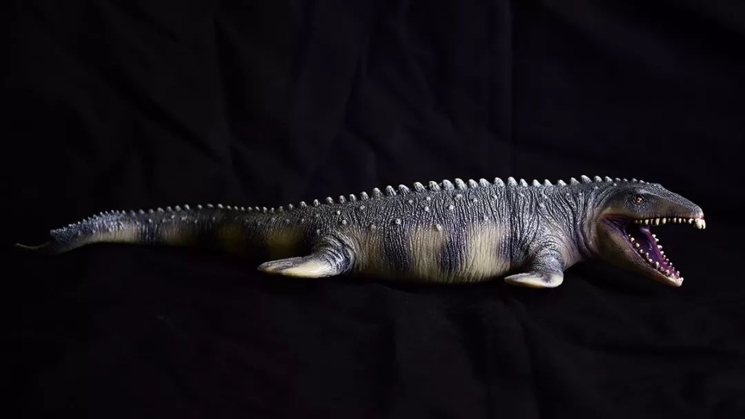 新买了一堆海鲜和《与海怪同行》