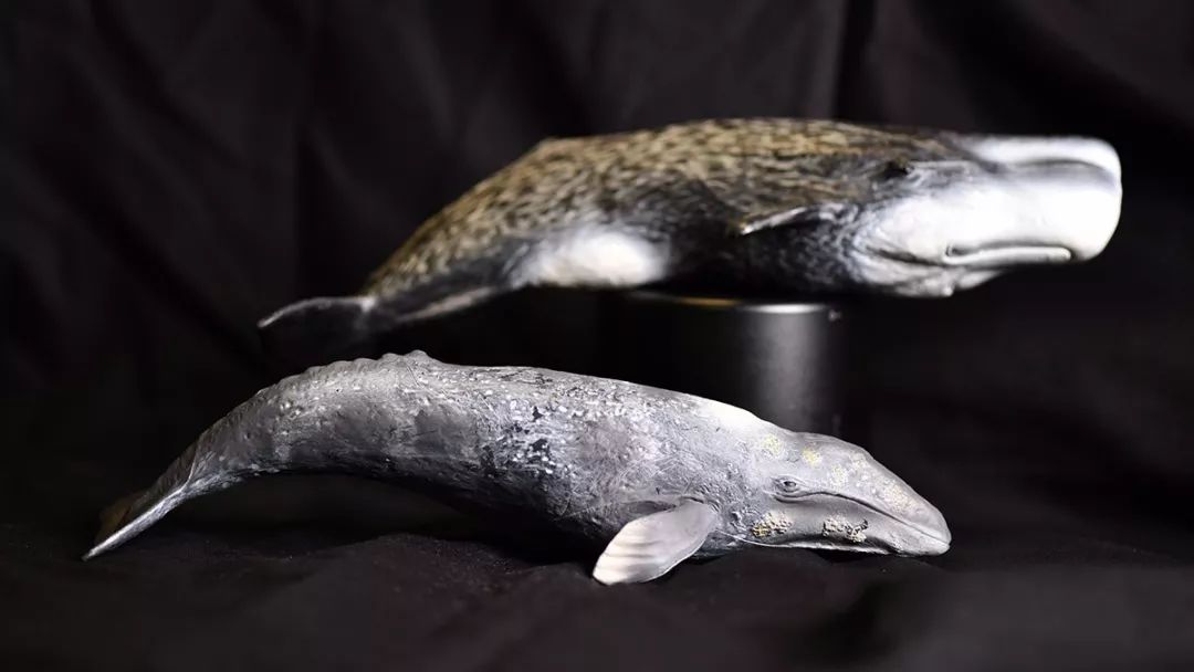 新买了一堆海鲜和《与海怪同行》