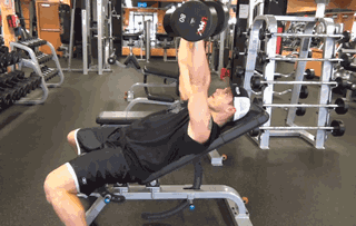 史上最全肌肉训练图解,告别瞎练从此健身不求人