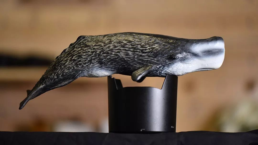 新买了一堆海鲜和《与海怪同行》