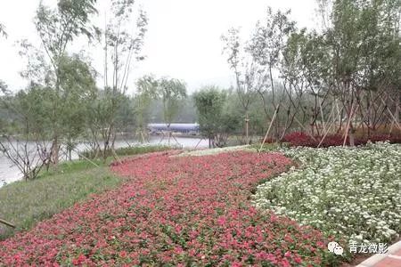 【直播】河北省第二届(秦皇岛)园林博览会开幕