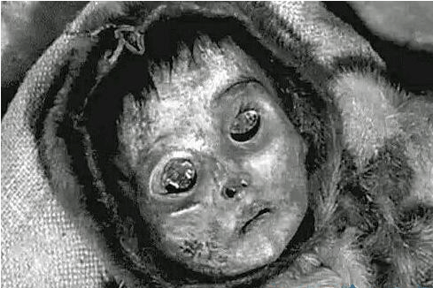 恐怖的格陵兰木乃伊,死前挣扎惨相被定格