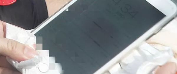 26年后《新白娘子传奇》重聚，独家揭秘背后的故事