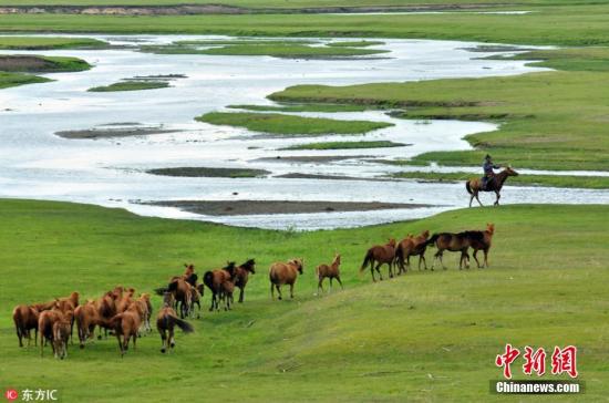 中国草原面积世界第一 约占全球草原面积12%