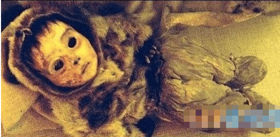 恐怖的格陵兰木乃伊,死前挣扎惨相被定格