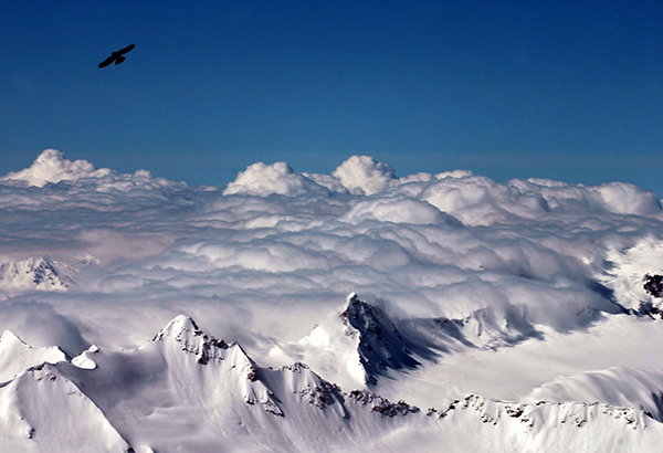 生死攀登：挑战欧洲最高峰厄尔布鲁士山有多难？
