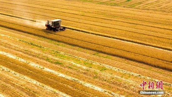 统计局：2018年夏粮总产量13872万吨 同比下降2.2%