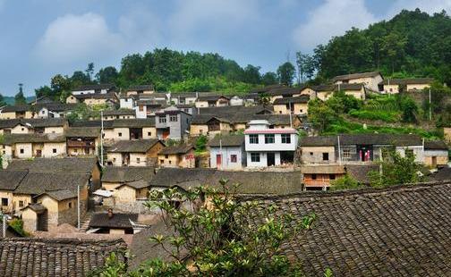 一位母亲讲述:哥嫂骗我孩子已死,三十年后,我对