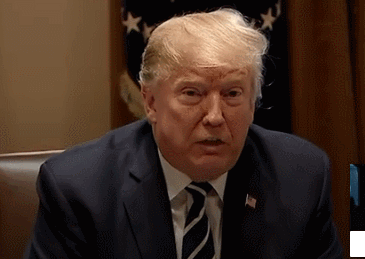 365_259 gif 动态图 动图