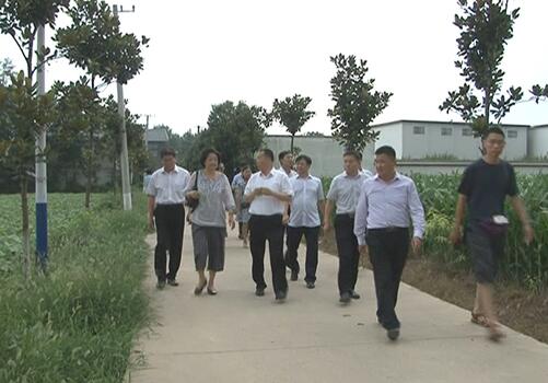 全国工商联到沈丘县李寨村调研