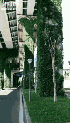 239_421 gif 动态图 动图