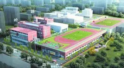 减负新政,青中面试招生.共同见证青岛教育辉煌