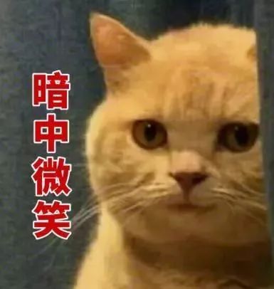 史上搞笑斗图装逼少女,给你们一个偷我时代指南表情图最全动图片