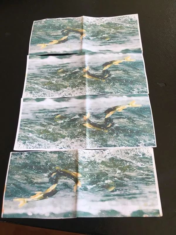 关于7. 16沙柳河景区湟鱼家园游客投诉事件情