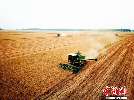 河南夏粮总产量722.74亿斤 获较好收成