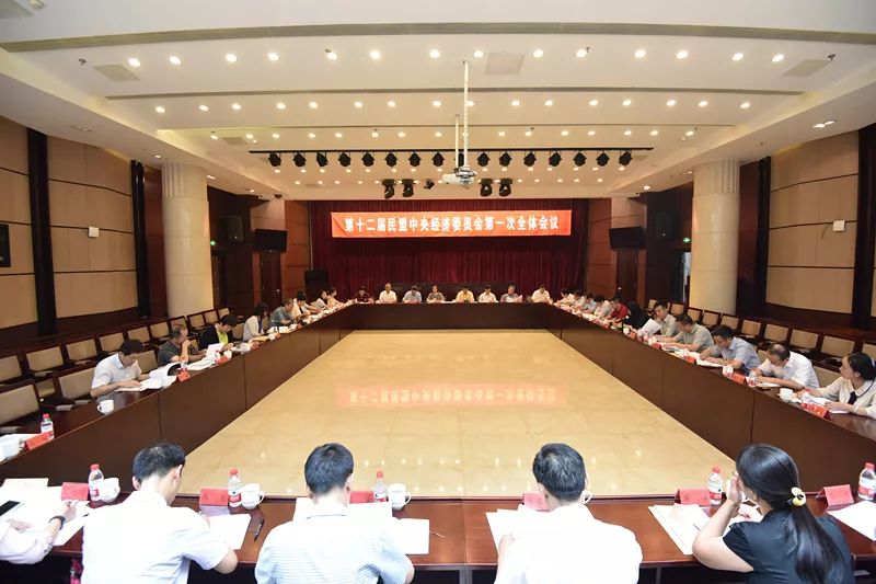 第十二届民盟中央经济委员会第一次全体会议在