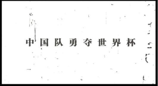 如果中国足球队勇夺世界杯冠军? 你希望是以哪