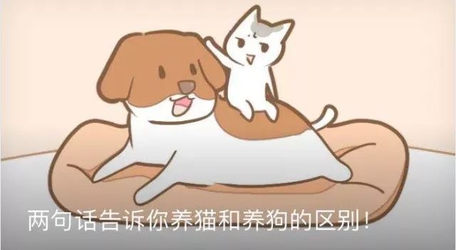 你不想认识这样一群有爱的人吗?