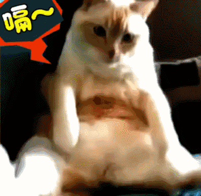 395_385gif 动态图 动图