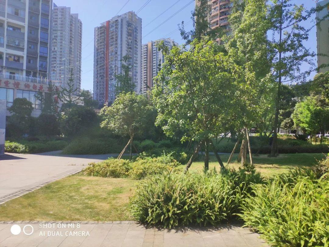 「荣耀10 vs 小米8」超详尽对比,3000元究竟该