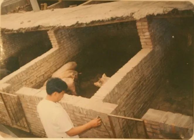 紫气+东来,联想控股的卢森堡蜜月行--柳传志