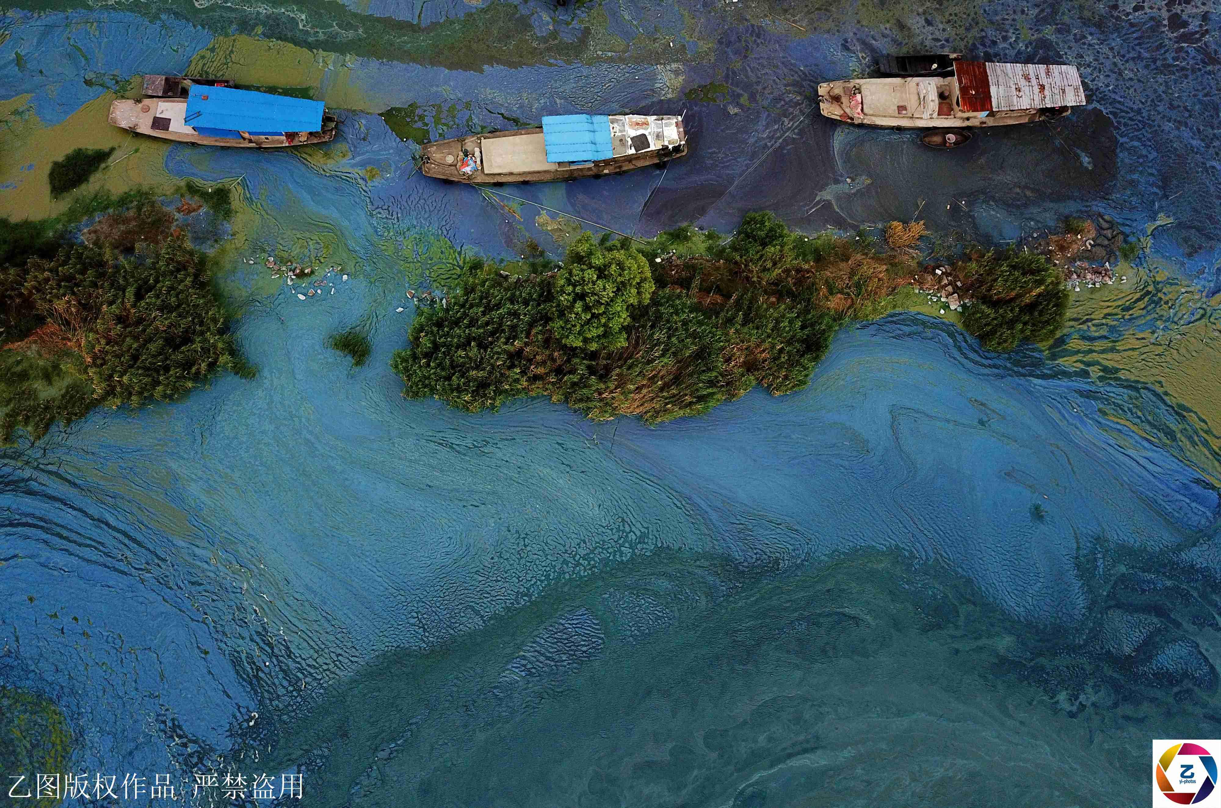 航拍高温下巢湖蓝藻, 如绿色画卷十分壮观, 打捞队加班作业