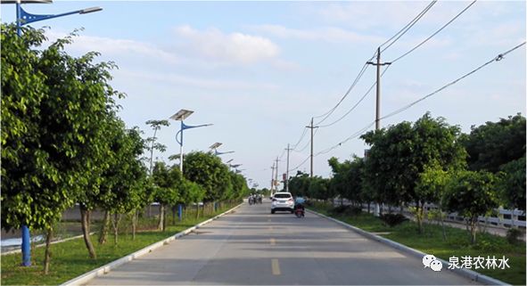 中共泉港区委 泉港区人民政府 关于实施乡村振