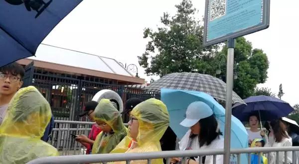 台风天，上海迪士尼不用排队？别天真了