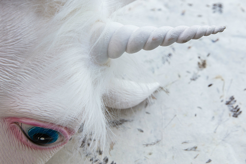 独角兽视觉 A9C87032654BA1F265E8E47433366CA6B81FF9E9_size309_w800_h533.jpeg