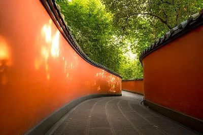 四向拓展、全域开放 | 成都未来怎么干?这里有