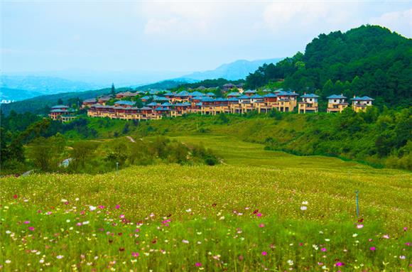 以"植树造林,美化景区"为主题,在古剑山