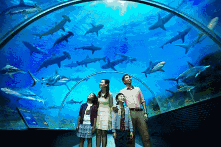 壁纸 海底 海底世界 海洋馆 水族馆 450_300 gif 动态图 动图